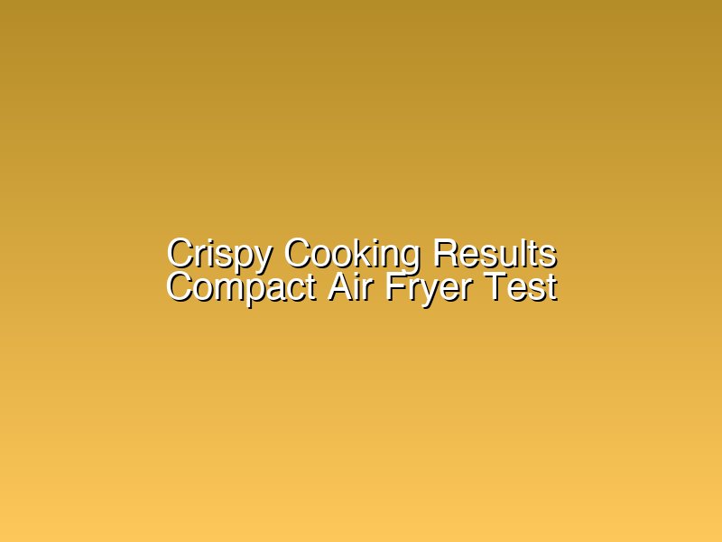 Cooking results from compact air fryer testing